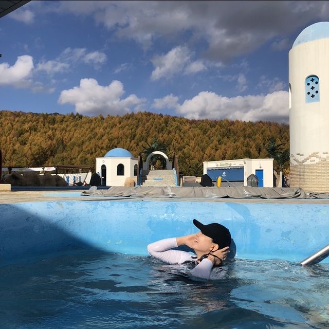휘닉스파크