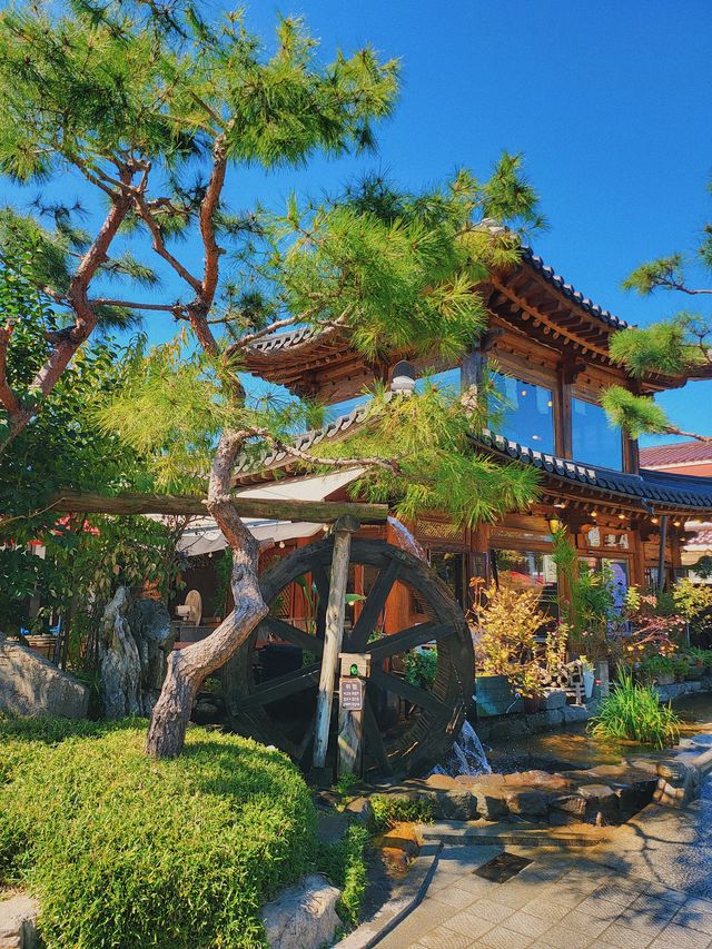 전주 한옥마을 거리 🍁 단풍 피크닉