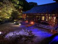 博多旧市街ライトアップウォーク2022「千年煌夜」『承天寺（方丈・開山堂）』