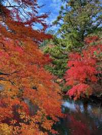 大分の紅葉🍁