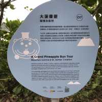 西貢橋咀島環島一天遊