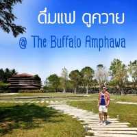 📌The Buffalo Amphawa cafe' 🐾🐈