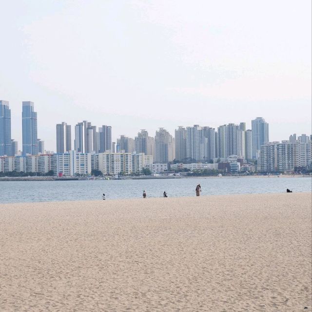 낮과 밤 모두 즐길 수 있는 광안리 해수욕장