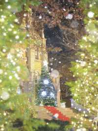 크리스마스 빌리지에서 인생사진 찍자!아신 공세리 성당🎅
