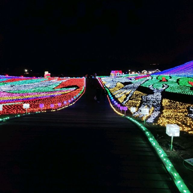 千葉県！東京ドイツ村のイルミネーション①