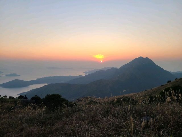 【秋冬賞芒系列~大東山🌾】