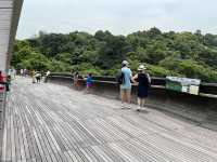 Singapore's Stunning Henderson Wave Bridge