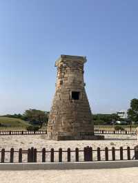 경주 꽃구경 가능한 여행지