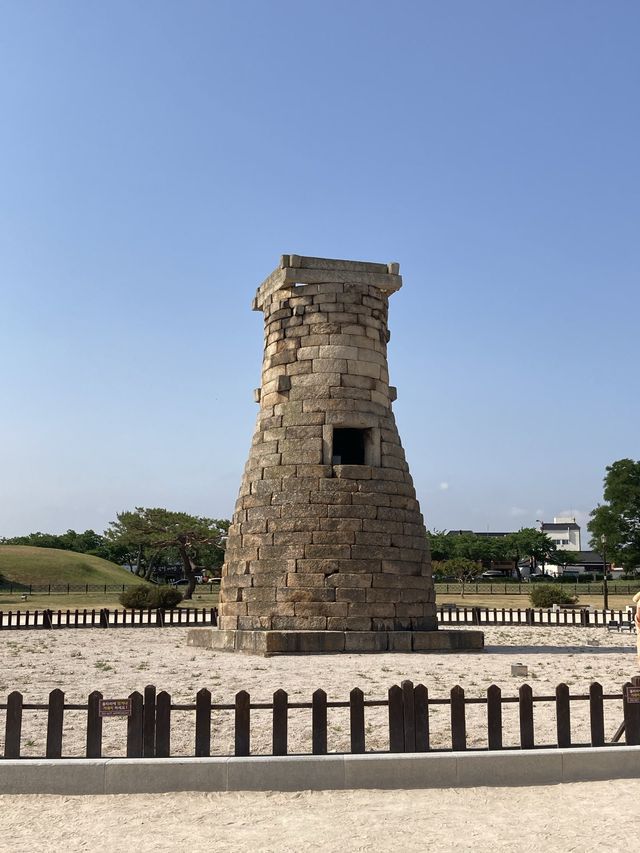 경주 꽃구경 가능한 여행지