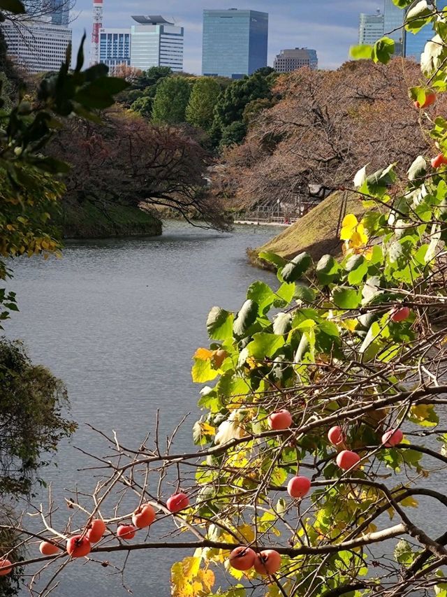 Walkers paradise in the heart of Tokyo!! 