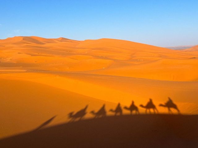 모로코 사하라사막