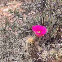 Red Rock Canyon