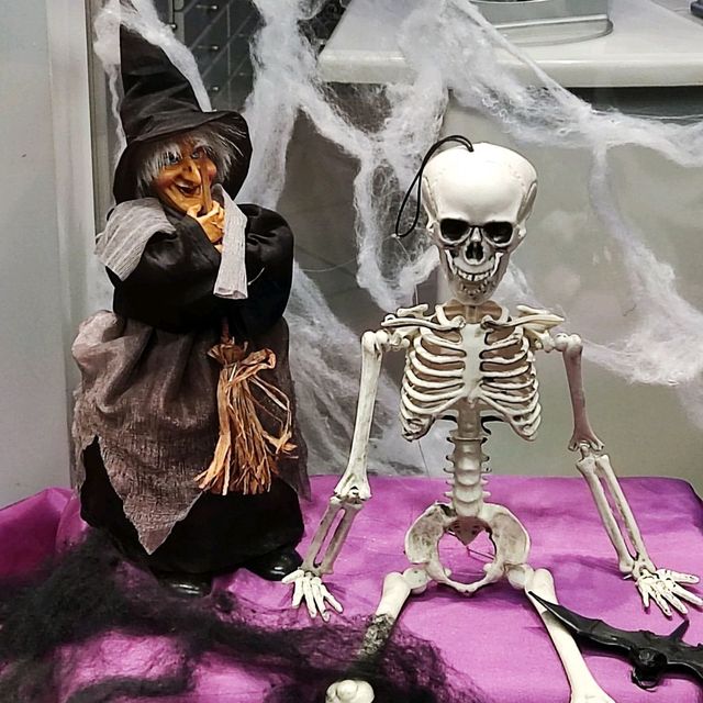 Halloween Display on Shelf