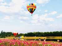 🌺🌸BALLOONS OVER COSMOS MEADOWS 🌺🌸