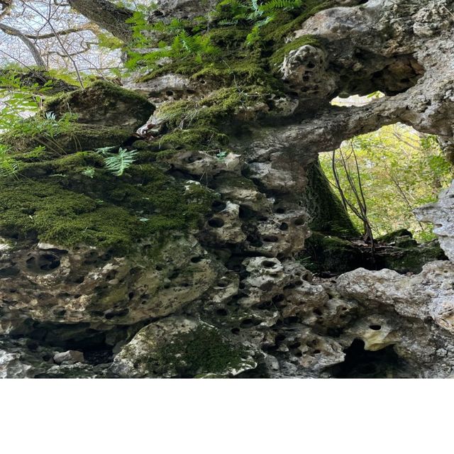 Quinta da Regaleira, Sintra 💝