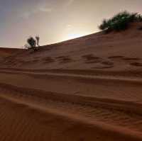 Morocco Sahara Desert Camel Ride