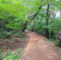 Great Calm Green Space 