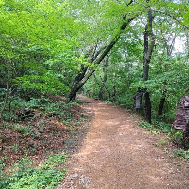 Great Calm Green Space 