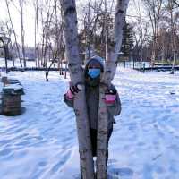 "Russian village" in Harbin (Sun island)