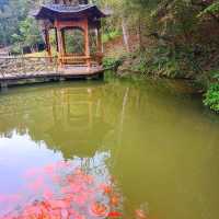 Ganlu Rock Temple and Taining Global Geopark