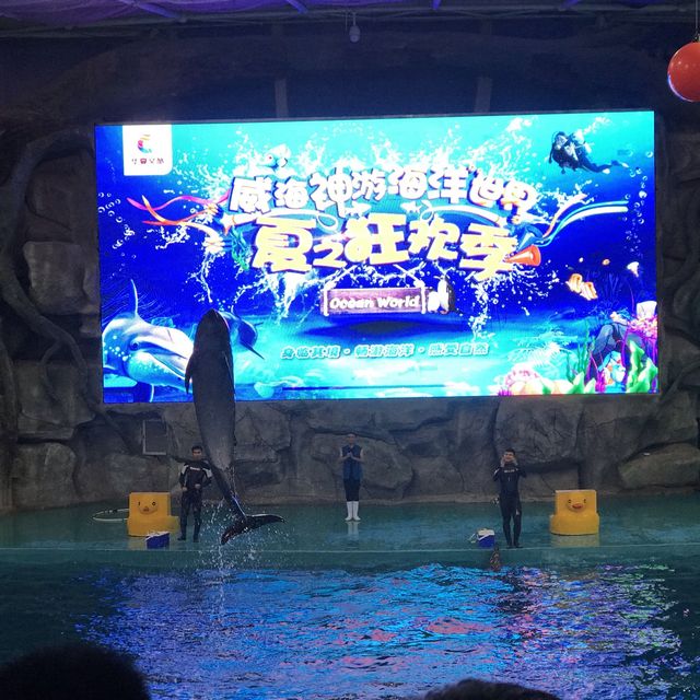 독특한 세트장 같은 아쿠아리움, 웨이하이 신유해양세계(威海神游海洋世界)