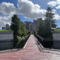 打卡深圳觀瀾濕地公園