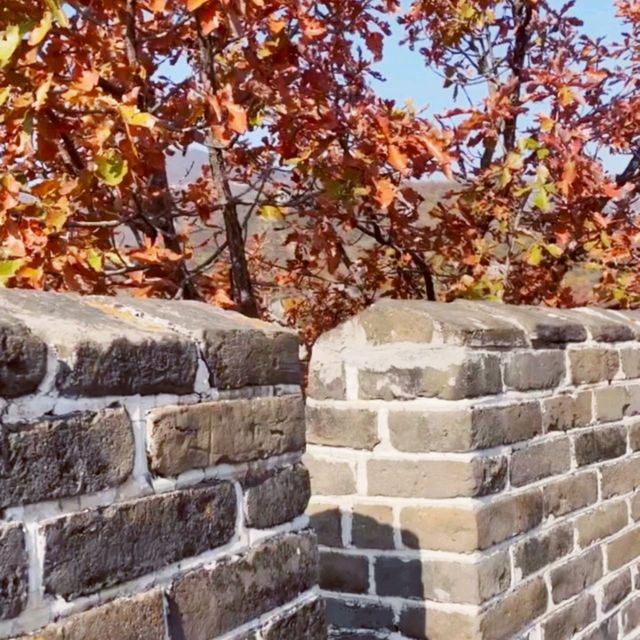 Great Wall in Beijing's Golden Autumn 