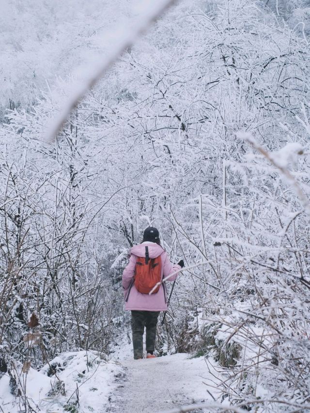 Winter-Hike at Jiufeng Mountain