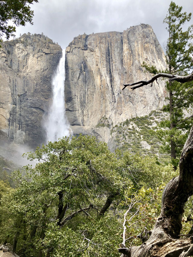 California | Yosemite National Park Photo Sharing 3