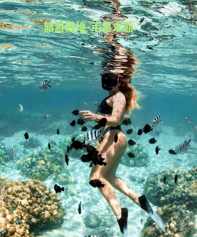 A great destination for world travel - Mauritius! | Trip.com A great destination for world travel - Mauritius! | Trip.com