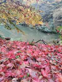 Japan mountain hiking, Echizen Takefu Station Village Kokuzan, enjoy hiking and autumn leaves.