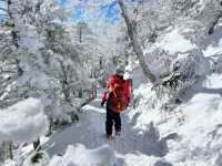 Japan's snowy mountains 🏔️ / The super popular Kitayama Peak, the snowy scenery is amazing
