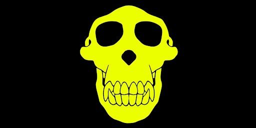 Crazy Monkey Movement - Training | Space for Dance Art (Westbeat)