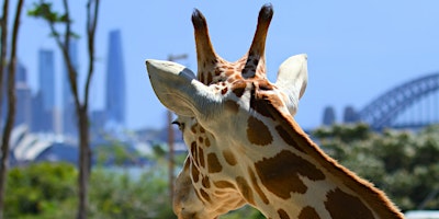 Taronga Zoo Excursion | 69 The Mall