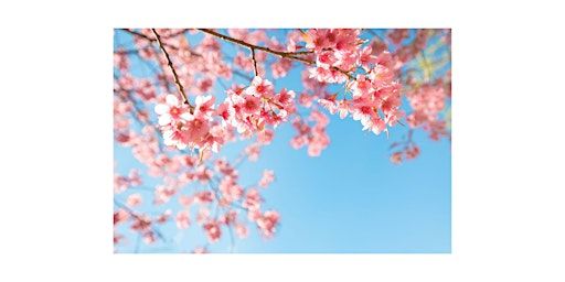 Glorious Vivaldi | Sylvan United Church