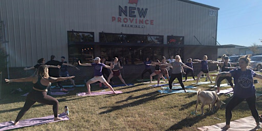 Greedy Goat Yoga @ New Province Brewing Company 9th Anniversary! | New Province Brewing Company