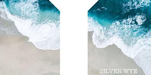electro folk @ temperance | The Silver Wye | Temperance