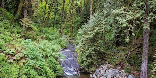 VIBC Weekender to Goldstream | Goldstream Group Campground