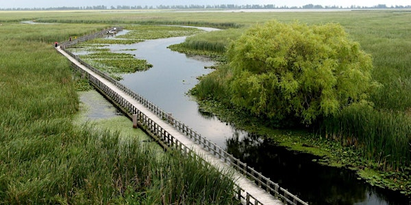Point Pelee National Park - Fall Migration | Point Pelee Visitor Centre
