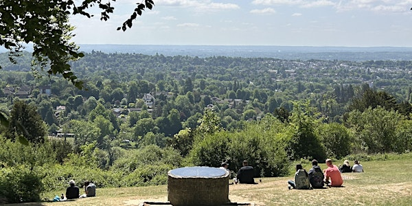 Pilgrimage Rochester to Winchester:  Stage 8 - Guildford to Farnham | Guildford