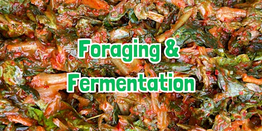 SPECIAL: Fermentation and Foraging near Kendal (Cumbria) | The Athenaeum