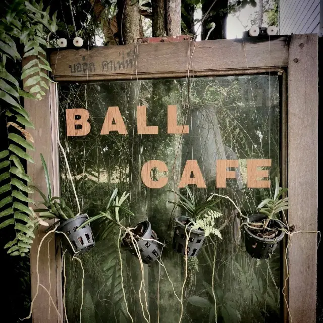 Ball Cafe' ... Natural Cafe เกาะหมาก