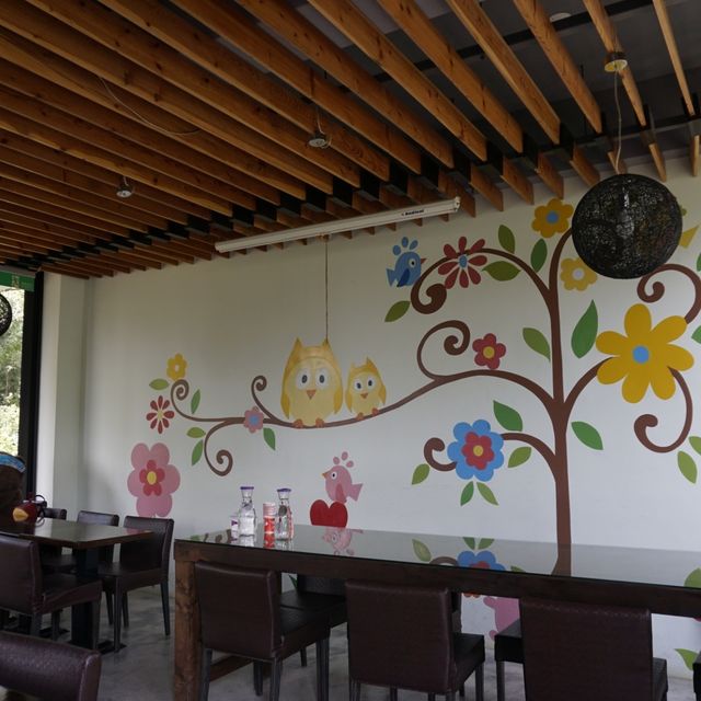【桃園新屋.美食】-永安61庭園咖啡(生態農場)