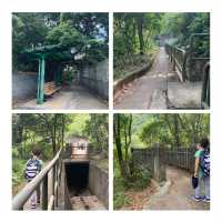「柴灣猛鬼橋」