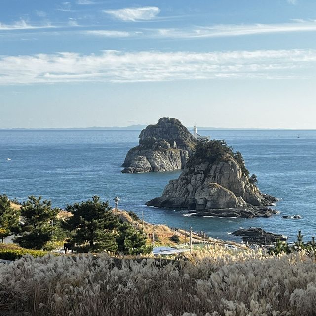 부산의 해안 산책로, 이기대 오륙도 스카이워크🌊