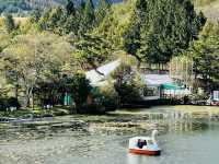 白樺湖(長野県)