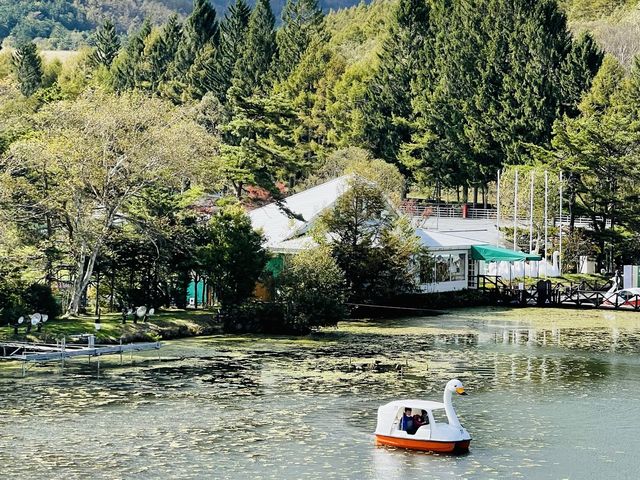 白樺湖(長野県)