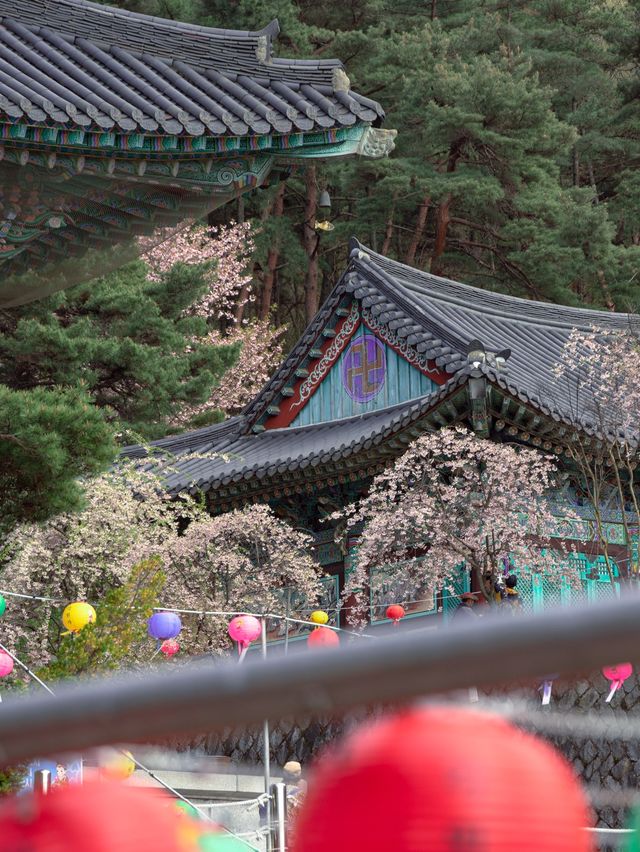 서봄에 빠질 수 없는 서울 근교 여행지 