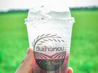 คาเฟ่บรรยากาศดีวิวทุ่งนา
