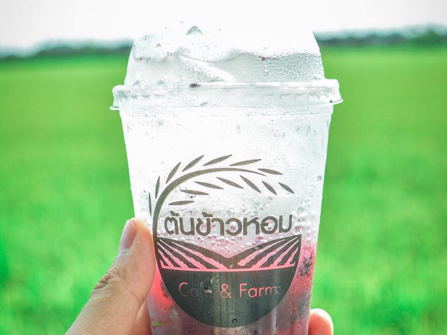 คาเฟ่บรรยากาศดีวิวทุ่งนา